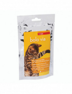 Bolo Via Sacchetto 20...