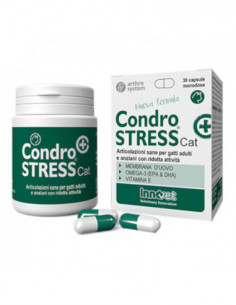 Condrostress + Cat 30...