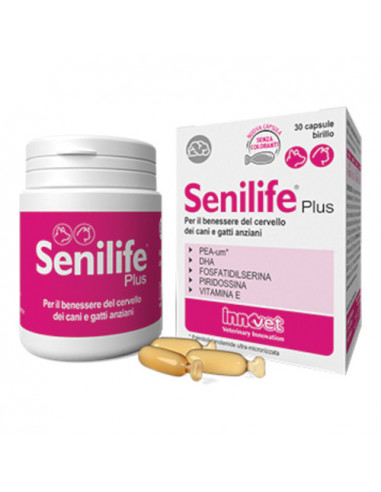 Senilife Plus 30 Capsule