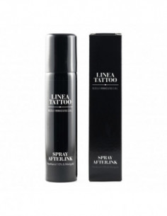 Spray After Ink 100 Ml