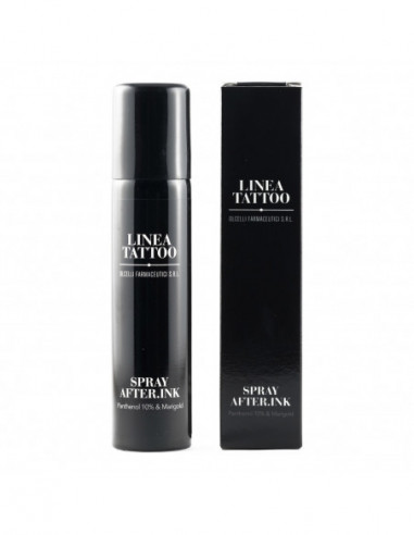 Spray After Ink 100 Ml