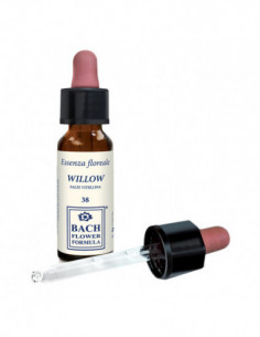 Willow Original Gocce 10 Ml