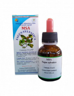Msa Fagus Sylvatica 50 Ml