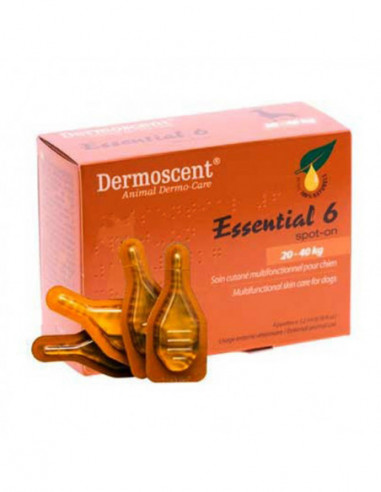 Essential 6 Spot On Cane 20/40 Kg 4...