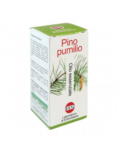 Pino Pumilio Olio Essenziale 20 Ml