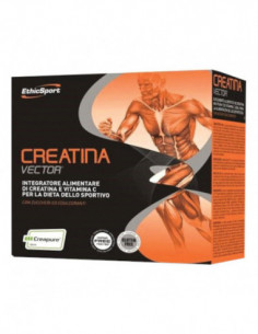 Ethicsport Creatina Vector...