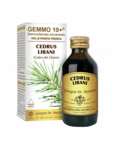 Gemmo 10+ Cedro Del Libano...