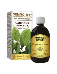 Gemmo 10+ Carpino Bianco...