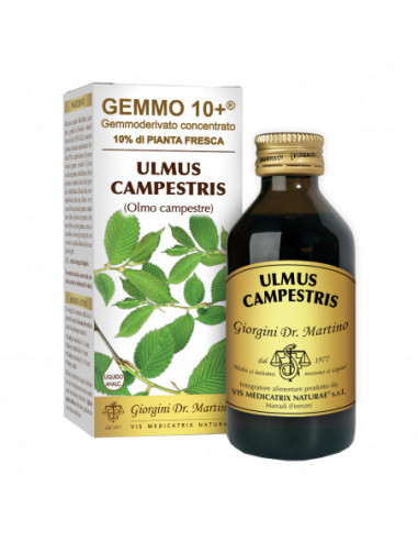 Gemmo 10+ Olmo Campestre 100 Ml...