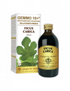 Gemmo 10+ Fico Liquido...