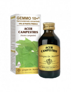 Gemmo 10+ Acero Campestre...