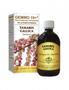 Gemmo 10+ Gemmoderivato...
