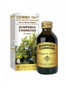 Gemmo 10+ Ginepro 100 Ml...