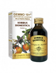 Sorbo Analco Gemmo 10+ 100 Ml