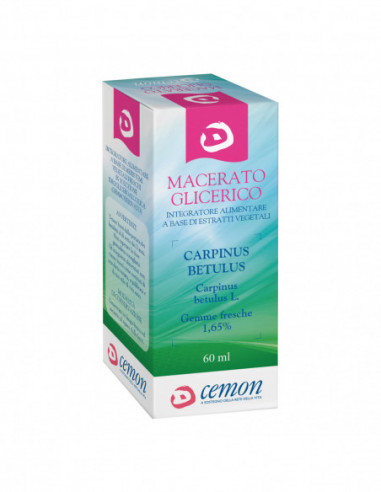 CARPINUS BETULUS GEMME MACERATO...