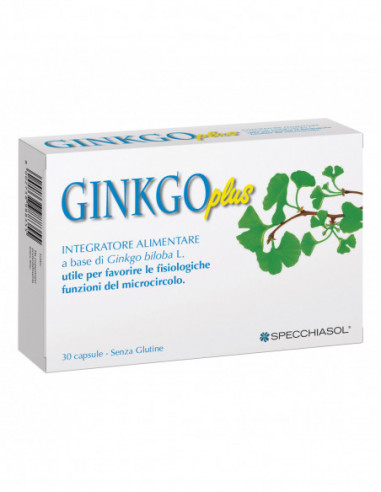 Ginkgo Plus 30 Capsule