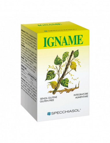 Igname Erbe 60tav