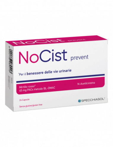 Nocist Prevent 24 Capsule