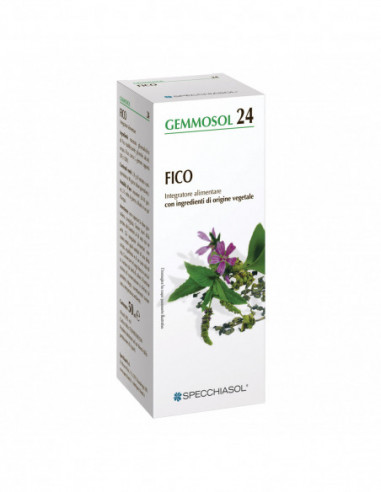 Gemmosol 24 Fico 50ml