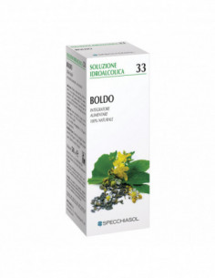 Boldo 33 50ml Tm