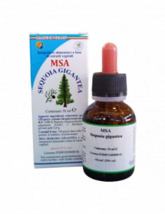 Msa Sequoia Gigantea 50 Ml