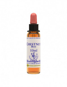 Chestnut Bud Essenza 10 Ml...