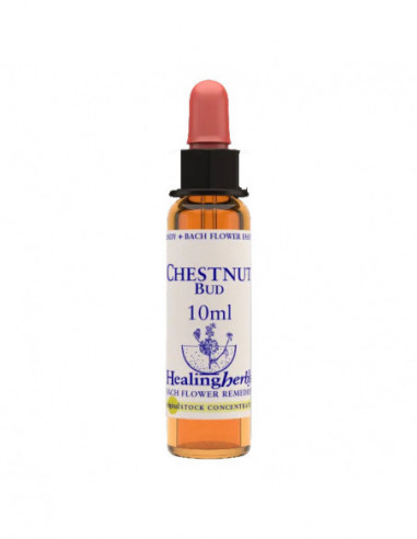 Chestnut Bud Essenza 10 Ml 1 Pezzo