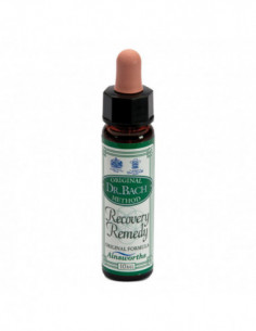 Ainsworths Recov Remedy 10ml