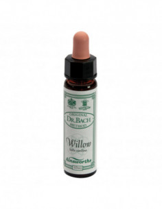 Ainsworths Willow 10ml