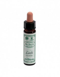 Ainsworths Larch 10ml