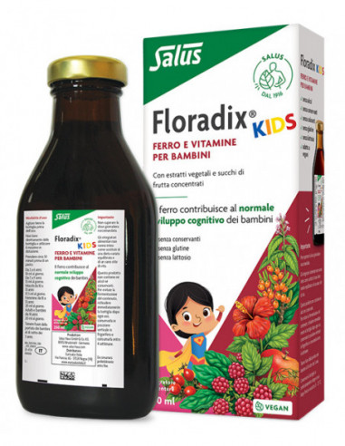 Floradix Kids 250 Ml