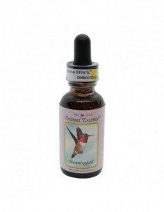 Colibri Hummingbird Ess 30ml
