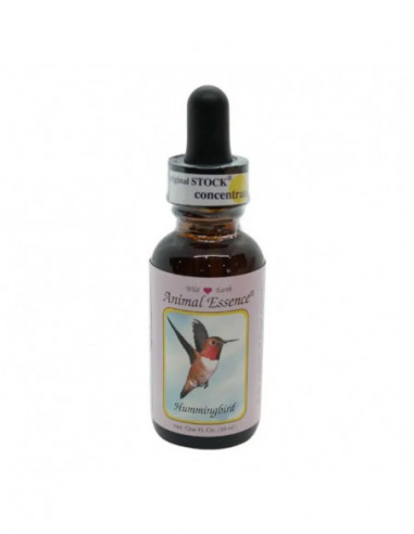 Colibri Hummingbird Ess 30ml