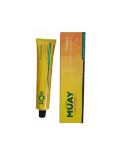 NAMMAN MUAY CREMA 100 G
