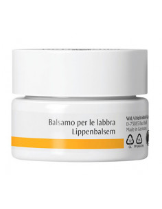 Dr Hauschka Balsamo Labbra...
