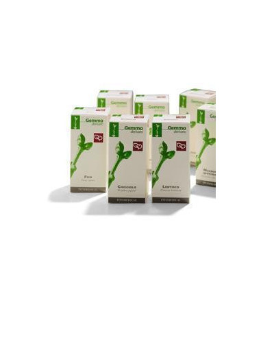 Lentisco Macerato Glicerico 200 Ml