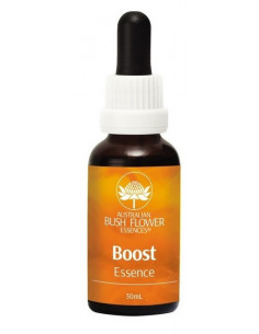 Boost 30 Ml