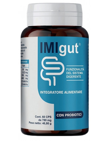 Imigut 60 Capsule