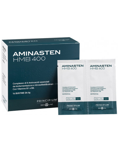Principium Aminasten Hmb400 14...