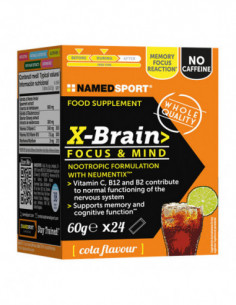 X-brain 24 Stick