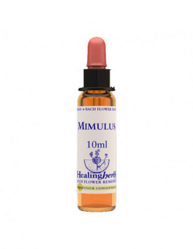 Mimulus Essenza 10 Ml 1 Pezzo