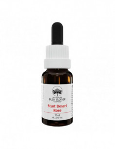 Bach Center Ess Beech 20ml