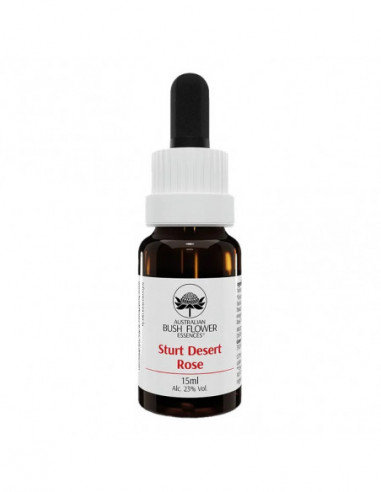 Bach Center Ess Beech 20ml