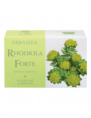 Rhodiola Forte 24 Capsule