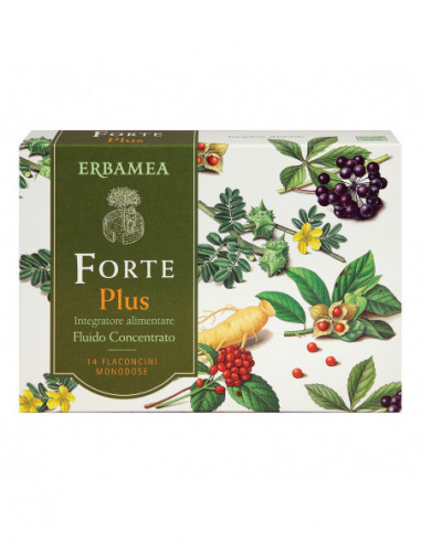 Forte Plus 14fluido Monod 10 Ml