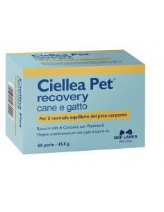 Ciellea Pet Recovery...