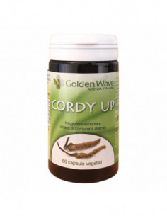 Cordy Up 60 Capsule