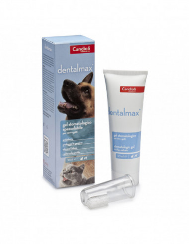 Dentalmax Gel Stomatologico 50 Ml