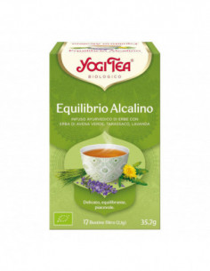 Equilibrio Alcalino 17...