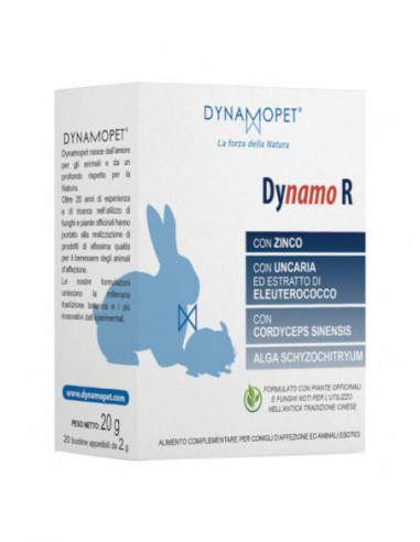 Dynamo R 20 Bustine Da 2 G